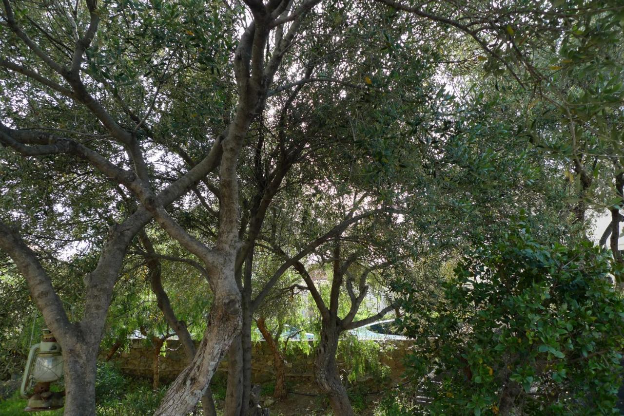LʼÎle-Rousse Nidu Accogliente In Balagna 아파트 외부 사진