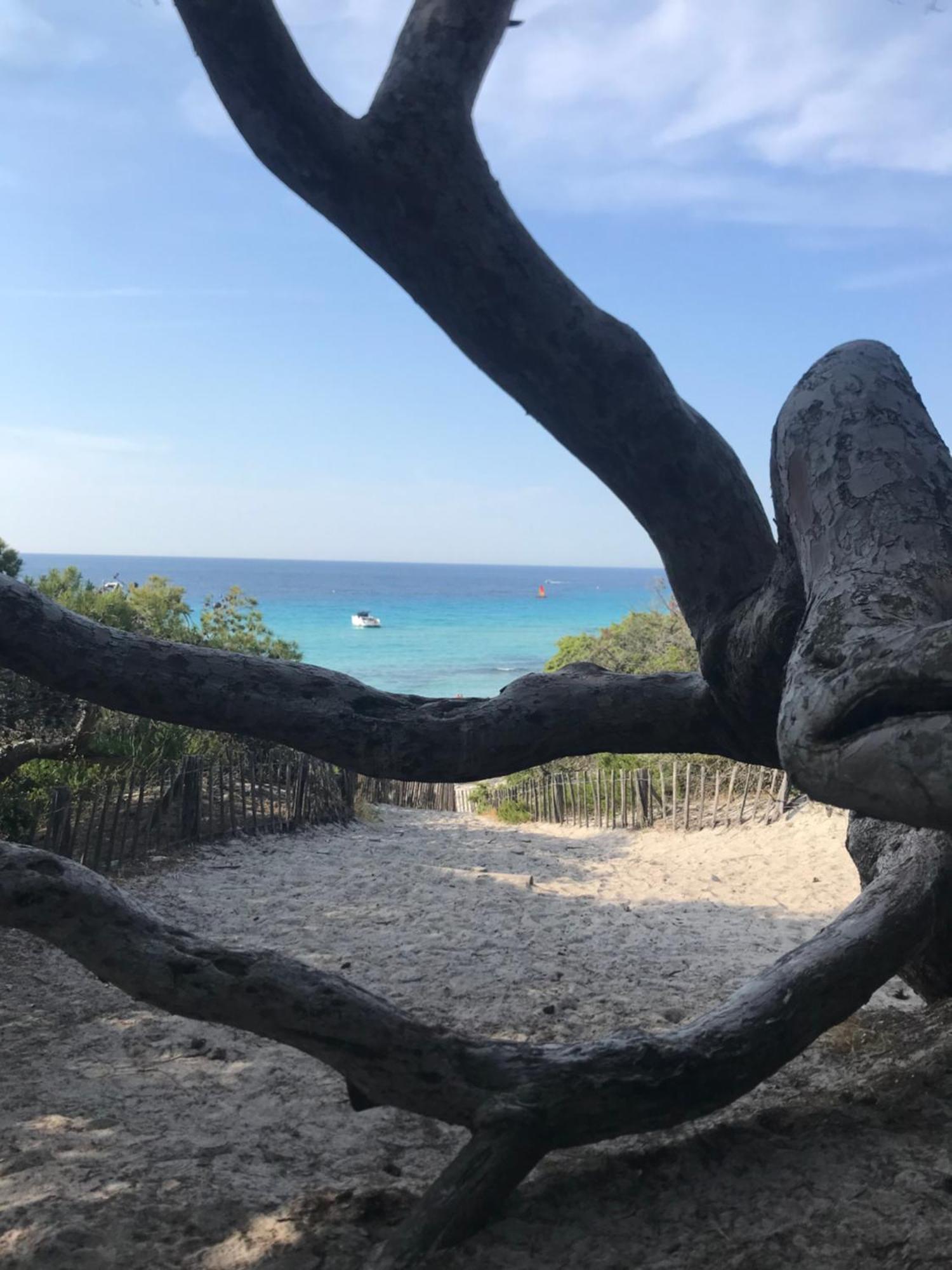 LʼÎle-Rousse Nidu Accogliente In Balagna 아파트 외부 사진